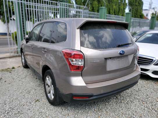 BROWN FORESTER image 12