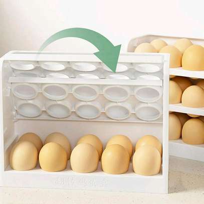 30 Egg Household Storage Box image 2