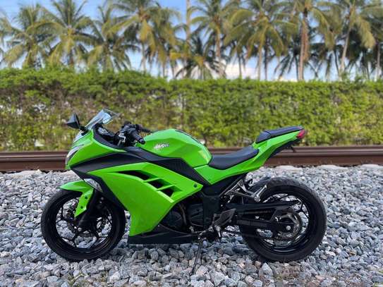 2015 Kawasaki Ninja 300 image 2