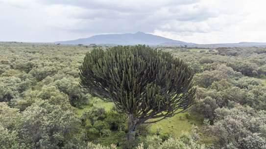 Land in Naivasha image 3