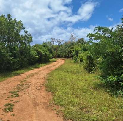 13 acres available 5-7 minutes drive from Galu Beach image 3