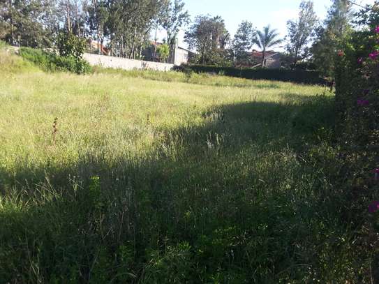 Lovely Half Acre Land in Ongata Rongai image 11