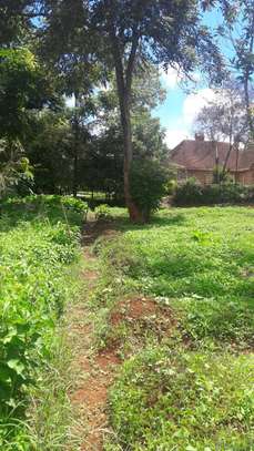 Milimani view gardens phase 4 image 2