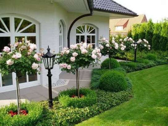 PROFESSIONAL GARDENING & LANDSCAPING SERVICES.LOWEST PRICE  GUARANTEE.CALL NOW image 13