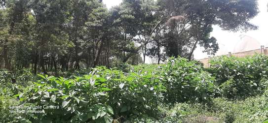 Land in Redhill image 10