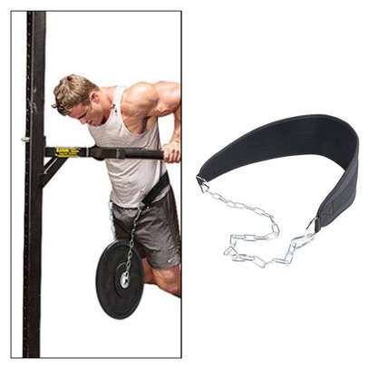 Pull-up Belt Weighted Dip Belt With Chain Double D-Ring image 1