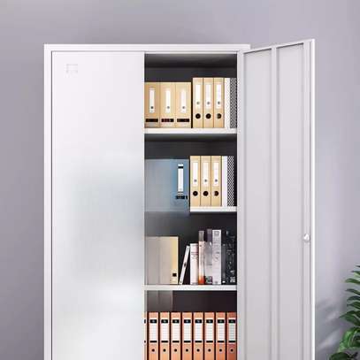 Office Cabinet : 2- Door Metallic Office Storage Cabinet image 4
