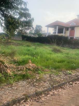0.25 ac Land at Runda Mhasibu Estate image 17