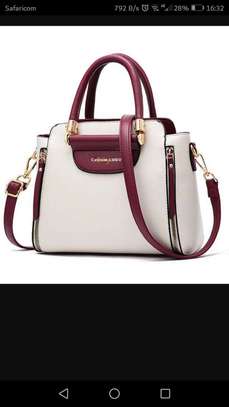 Handbags Excellent for that executive woman image 1