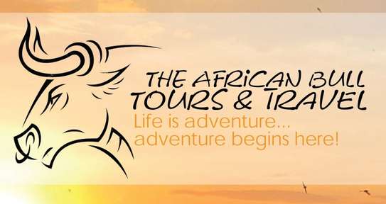 The African Bull Tours & Travel image 1