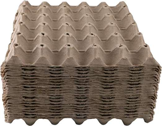 100pcs manilla egg tray/carton egg tray image 1