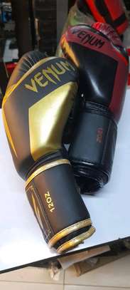 Venum Boxing gloves image 1