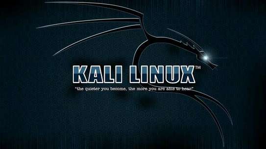 Kali linux 
kali rolling instalation image 2