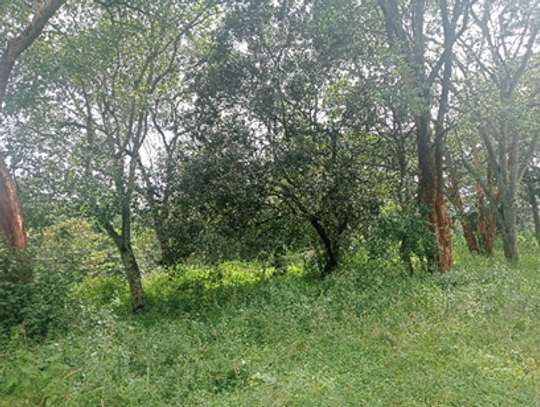 Land in Karen Hardy image 9