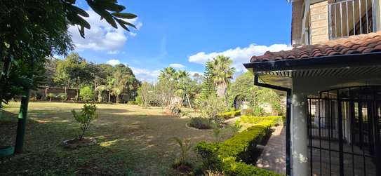 4 Bed House with En Suite at Plains 34 image 17