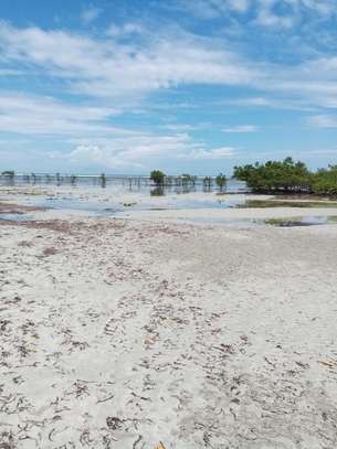 10 Acres Of Beach Plots Facing The Sea In Kwale Are For Sale image 3