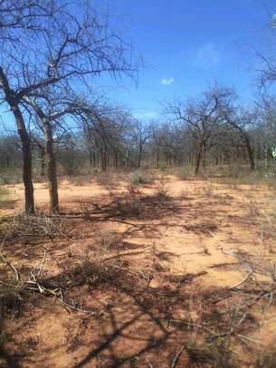 64 acres along Makindu-Wote Road Makueni County image 12