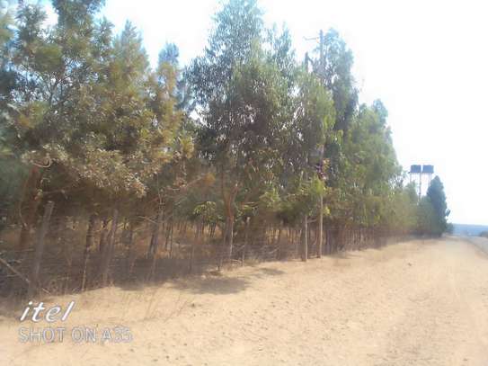 1/2 acre land at Kajiado county Tinga area image 1