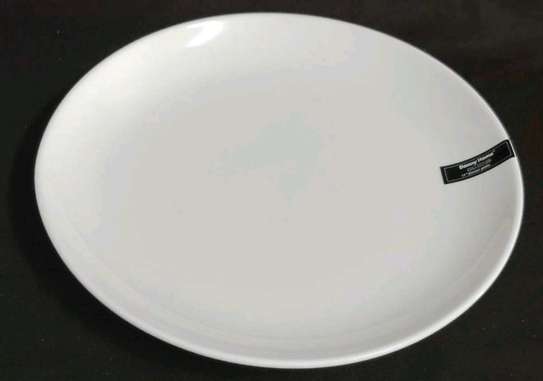 Porcelain Dinner Plates image 1
