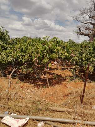 143 Acres of Developed Farm Land in Mutomo Kitui Is for Sale image 1