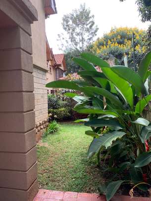 2 bedroom house available in lavington image 3