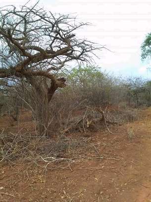 50 acres near ikoyo primary school makindu makueni county image 3