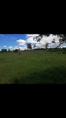 5,000 m² Land at Nanyuki Mount Kenya View image 12