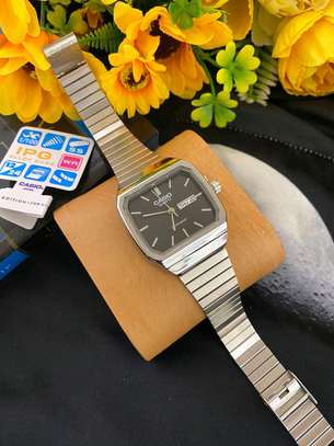 Casio Day and Date Display image 1