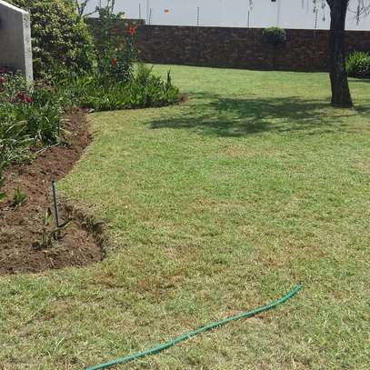 Landscaping & Gardening Services in Kenya image 15
