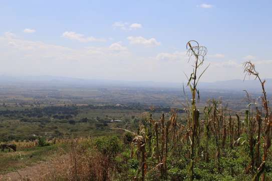 50*100 Land For Sale In Nakuru image 9