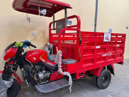 300 cc MECIN CARGO TUK TUK image 2