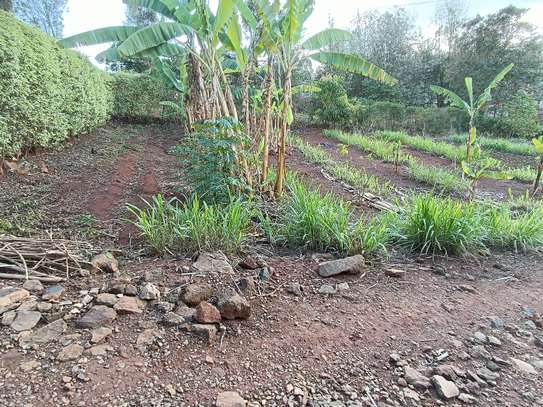 20,000 ft² Land in Roysambu Area image 2