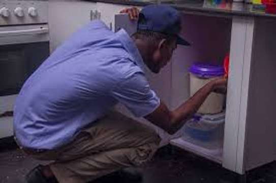 Kikuyu Pest & Fumigation Experts |  Bestcare FM image 4