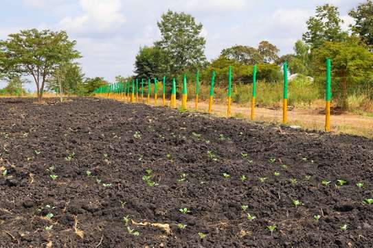 50 by 100 PRIME PLOTS FOR SALE IN MAKUTANO PI (MWEA) image 2
