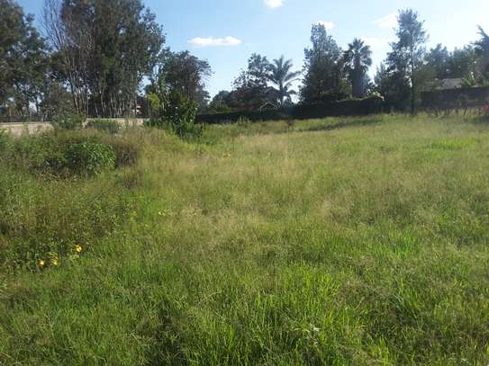 Lovely Half Acre Land in Ongata Rongai image 4