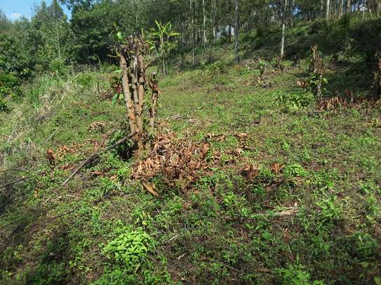 Lovely Quarter ( 1 / 4 ) Acre Land in Ngong image 6