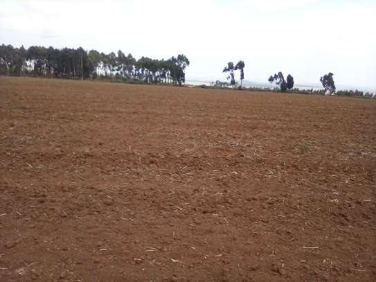 41 Acres of Land For Sale in Timau image 11