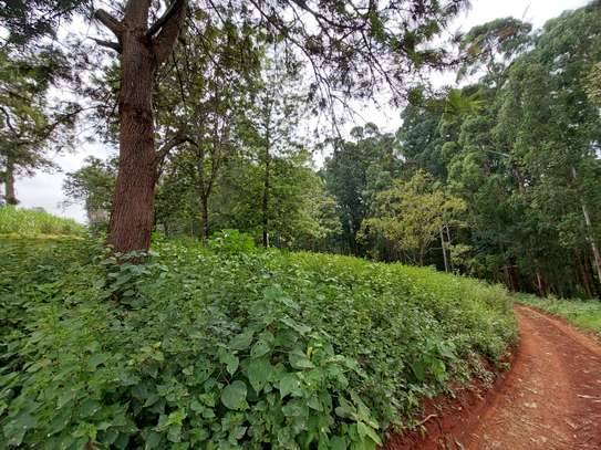 Residential Land at Rosslyn Redhill Road image 28