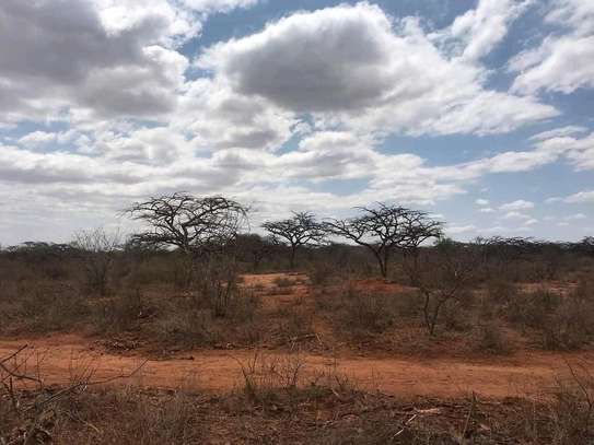 40 acres along Makindu-Wote Rd Makueni county image 2