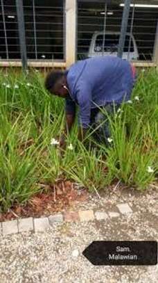 Home electrical maintenances | Home general electrical works | Home plumbing works | Nairobi Handyman Services . Get in Touch Now.   image 6