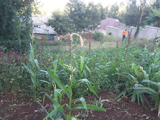 Beautiful one eighth plots in Ngong image 3