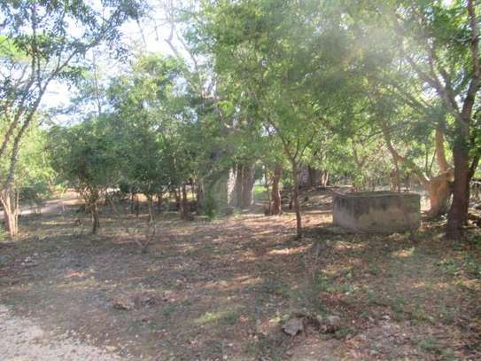 1 ac Commercial Land at Diani image 19