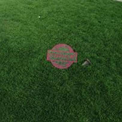 Arabic Grass In Nairobi Pigiame