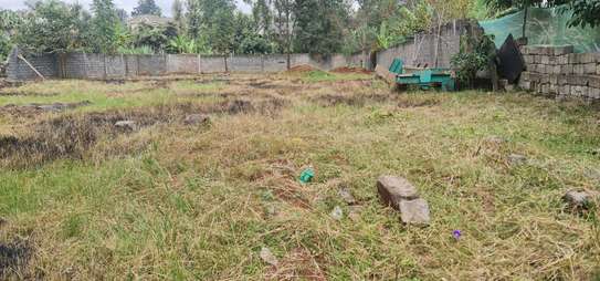 Land , selling 1/2 acre thome stream Drive. image 3