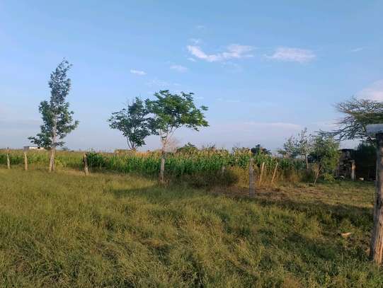 3 (50 by 100)  fertile land plots in Kamulu image 7
