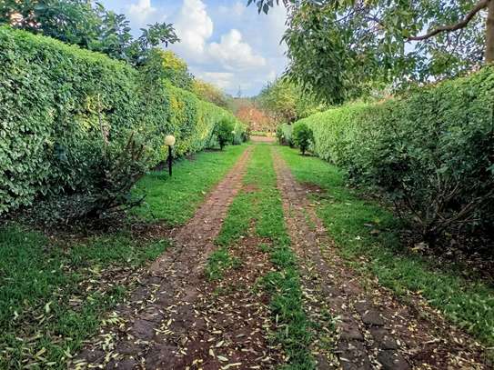 4 Bed House with En Suite in Runda image 17