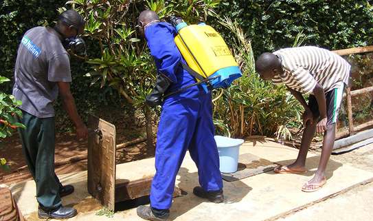 BED BUG Fumigation and Pest Control Services in Kiambu road image 1