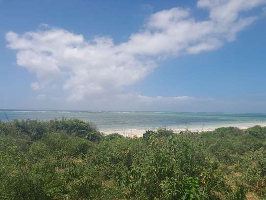 20 Acres Of Beach Land In Kikambala Kilifi Is For Sale image 4