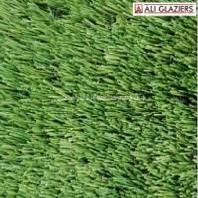 TURF GRASS image 5