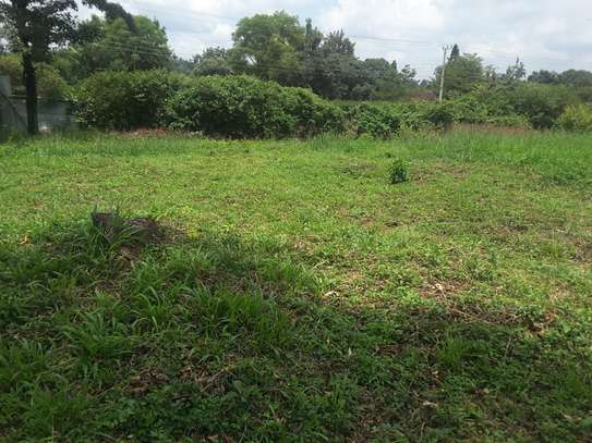 Lovely One Acre in Karen image 11